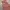 Casual Summer dress Wanita multicolor photo 1