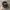 Trucker Hat Berlon photo 1