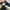 Rare Adidas Superstar Black White photo 8