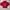 2000s gildan kanye west i feel like ye & pablo maroon hoodie photo 4