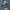 Jeans Pants Cloude72 photo 4