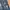 Jeans Pants Cloude72 photo 3