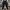 Track Pants Ye'yr Mens photo 3