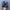 Nike Shox R4 photo 4
