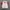 Head Windbreaker Jacket Lengan pendek  photo 4