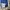 Converse Sportswear Tracksuit Pria blue photo 5