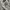 Casual T-shirt Kids white photo 2