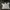 Casual T-shirt Kids white photo 1