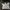 Casual T-shirt Kids White
