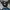 Dickies Artic Jacket rework from Chore Jacket Dickies photo 3
