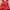 French Connection Luxury Summer dress Wanita orange photo 3