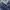 Evisu Selvedge Seagull Embroidery Pocket Camo Print Jeans photo 4