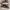 Timberland Brooklyn Sneakers Wheat Nubuck A26GG photo 5
