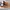 Timberland Brooklyn Sneakers Wheat Nubuck A26GG photo 2