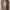 Converse Jack Purcell Low Cross Stitch Brown photo 6