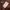 Nike Mini Center Logo Fleece Hoodie Brown photo 4