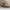 Dickies Boots Mid Wheat Nobuck ( Size 42 ) photo 5