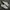 Reebok Club C 85 Grow Leisure Sneakers Beige H05825 ( Size 4 photo 2