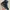 Timberland Classic Linden Suede Boots Fullblack Perfect Cond