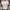 STL Pressbody Shirt Kaos Gym Running Broken White All Size photo 1