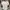 STL Pressbody Shirt Kaos Gym Running Broken White All Size