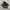 Asics GEL Nimbus 22 Black ( Size 38 ) photo 1