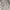 CASUAL SLIM LEATHER JACKET | CASUAL JACKET photo 4