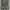 VANS SK8 Hi MTE Pat Moore Greap Leaf Green Suede Skate (Rare