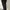 Sportmax Code Navy Jersey Dress photo 6