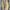 TIMBERLAND Stormbuck Size 47 Made in China photo 5