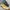 TIMBERLAND Stormbuck Size 47 Made in China photo 1