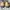 TIMBERLAND Stormbuck Size 47 Made in China photo 6