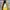 TIMBERLAND Stormbuck Size 47 Made in China photo 4