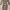 River Island Dress Size 8 (Like New) Nego photo 1