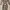 River Island Dress Size 8 (Like New) Nego