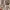 River Island Dress Size 8 (Like New) Nego photo 5