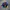 NIKE air jordan nostlagia legacy jacket photo 1