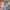 Cargo Jeans Work Pants Big Size