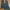 Japanese Brand Flare Jeans Boot Cut photo 3