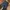 Bootcut pants denim by monster factory photo 3