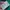 Nike x Cactus plant Flea Market anorak teal jacket photo 9