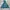 Nike x Cactus plant Flea Market anorak teal jacket photo 5