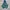 Nike x Cactus plant Flea Market anorak teal jacket photo 3