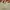 Y2k JORTS pants By enengetic style photo 4