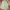 Y2k JORTS pants By enengetic style photo 5