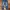 Baggy ballon pants jeans washed By Tera wear emu
 photo 2
