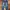 Baggy Ballon Pants Jeans Washed By Tera Wear Emu
