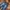 Baggy ballon pants jeans washed By Tera wear emu
 photo 3