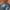 Baggy ballon pants jeans washed By Tera wear emu
 photo 6