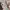 Casual Sweatpants & Joggers Kids multicolor photo 6